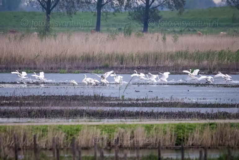 2021 05 11 Munnikenland Brakel